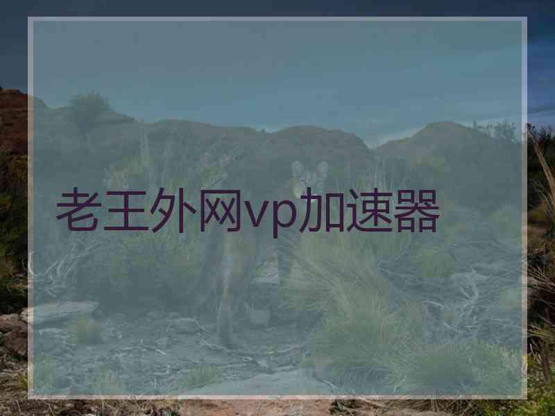 老王外网vp加速器