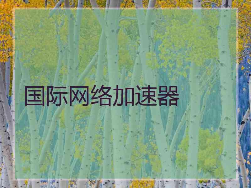 国际网络加速器
