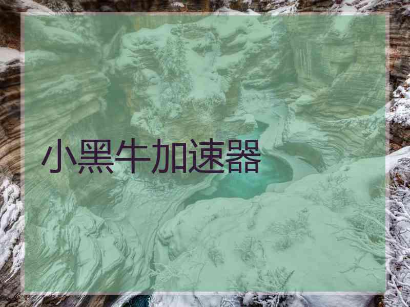 小黑牛加速器