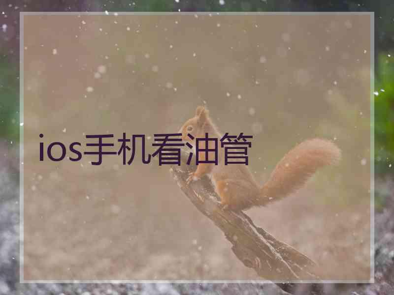 ios手机看油管
