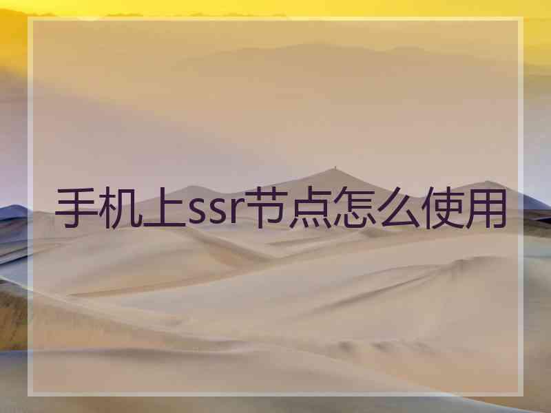 手机上ssr节点怎么使用
