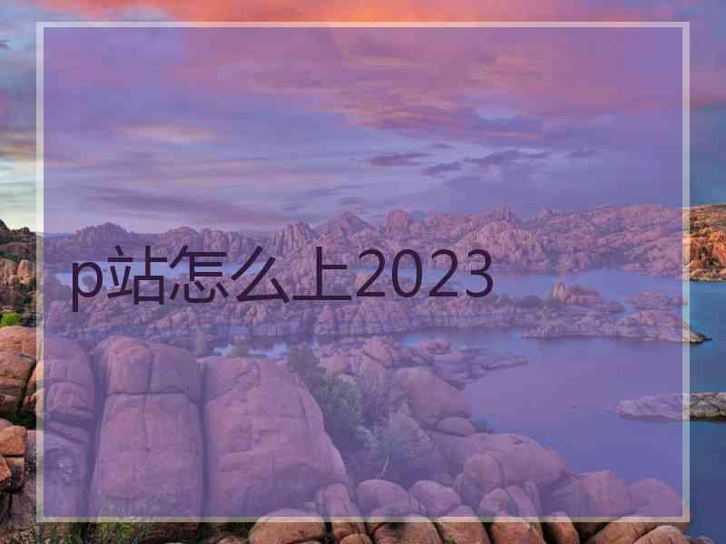 p站怎么上2023