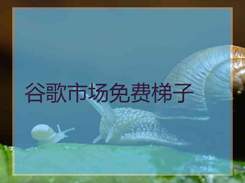 谷歌市场免费梯子
