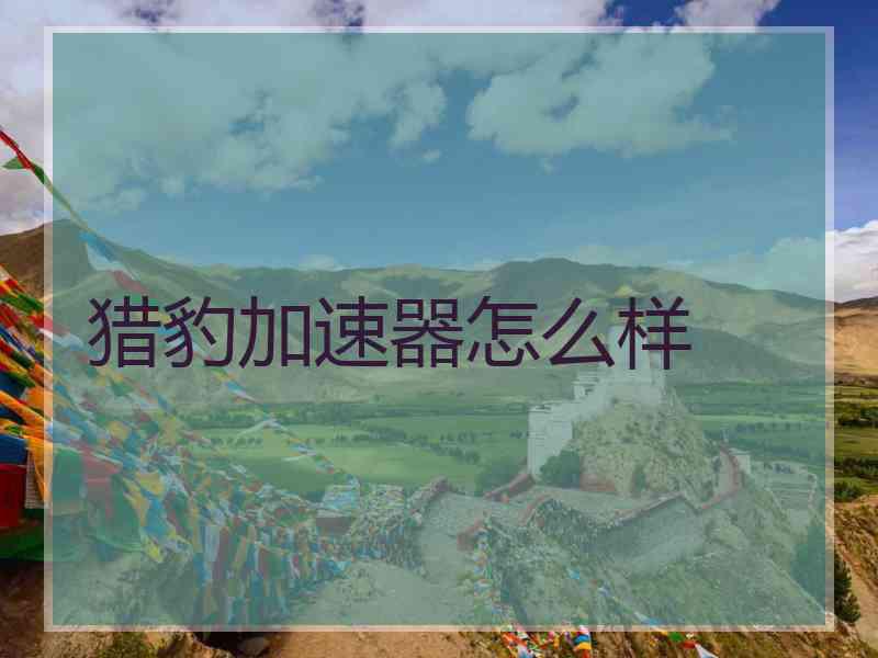 猎豹加速器怎么样