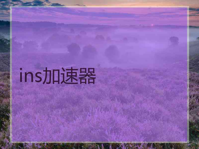 ins加速器