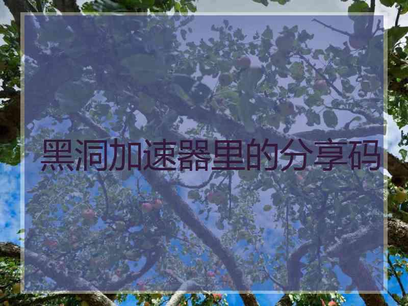 黑洞加速器里的分享码