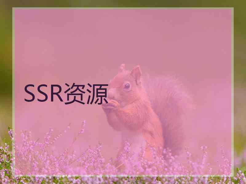 SSR资源