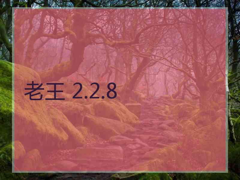 老王 2.2.8