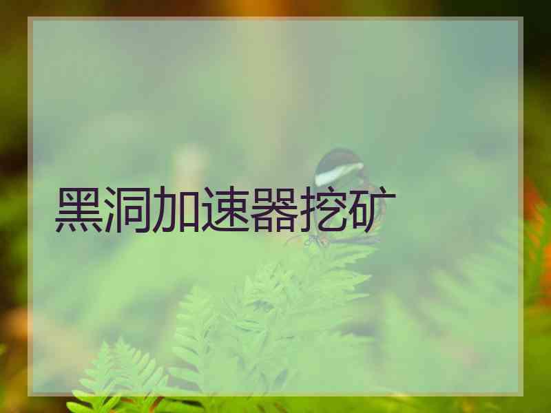 黑洞加速器挖矿