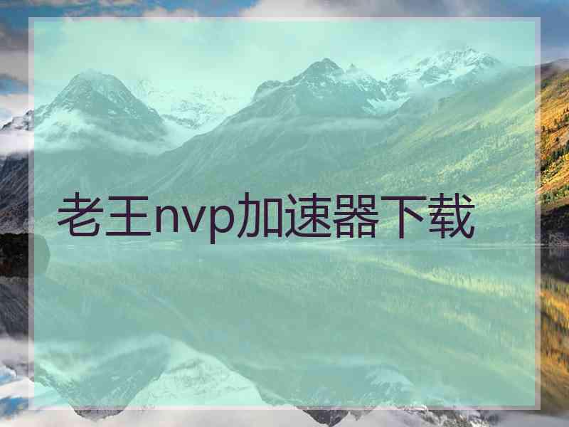 老王nvp加速器下载