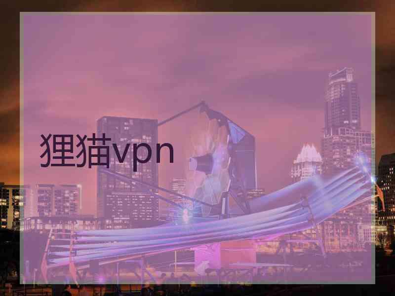 狸猫vpn