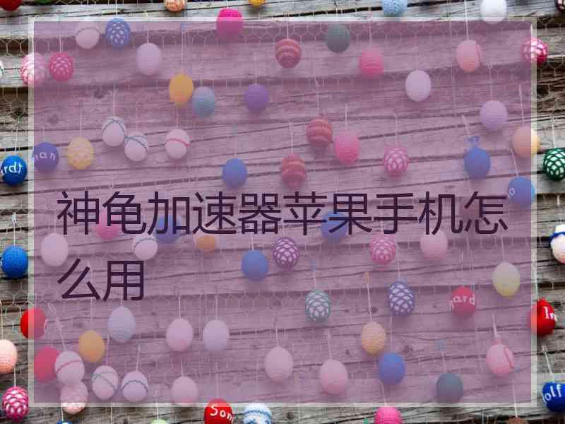 神龟加速器苹果手机怎么用