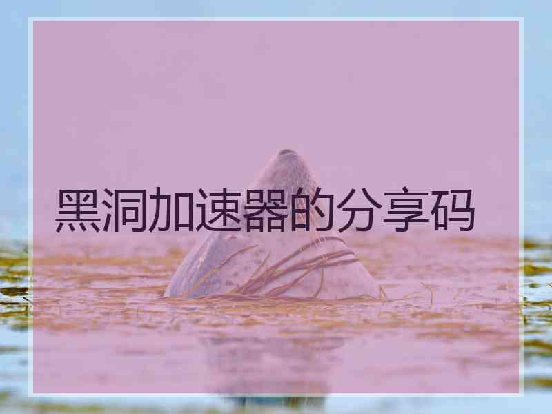 黑洞加速器的分享码