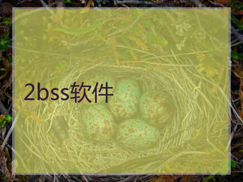 2bss软件