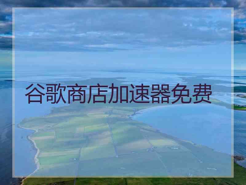 谷歌商店加速器免费