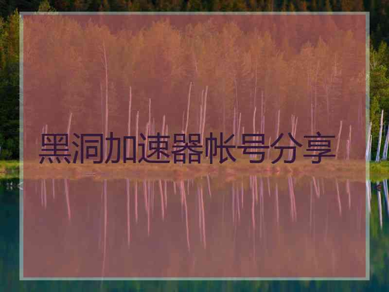 黑洞加速器帐号分享