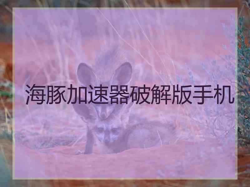 海豚加速器破解版手机