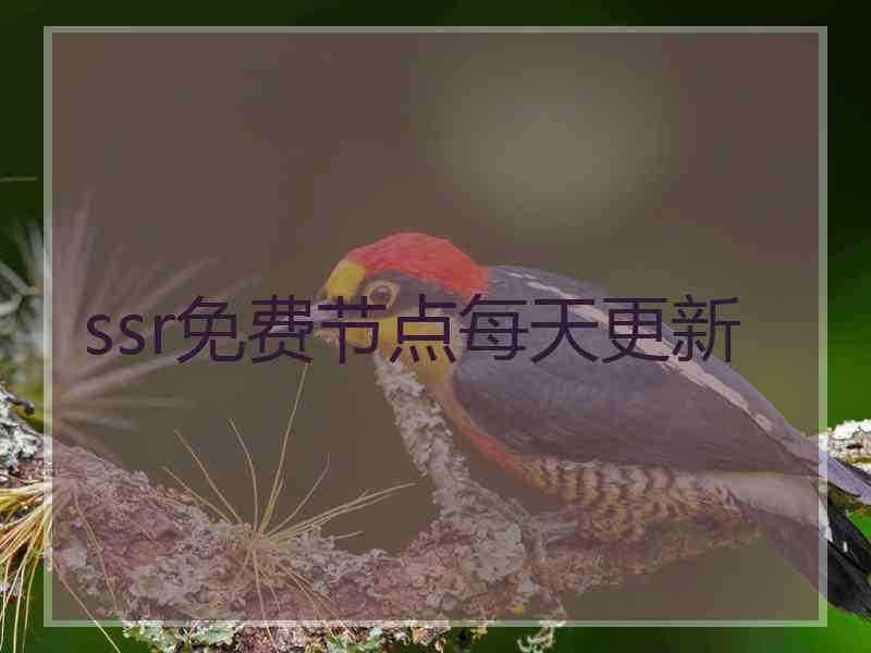 ssr免费节点每天更新