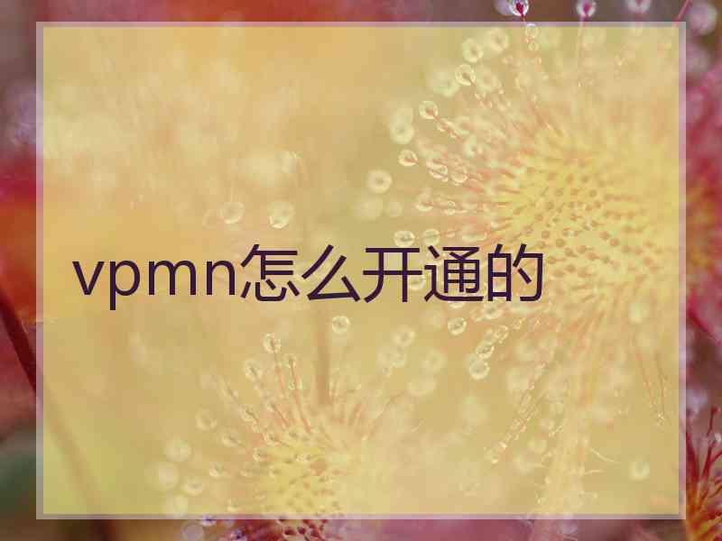 vpmn怎么开通的