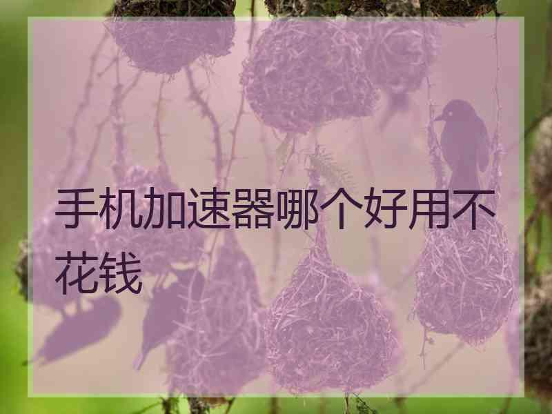 手机加速器哪个好用不花钱