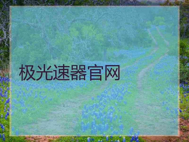 极光速器官网