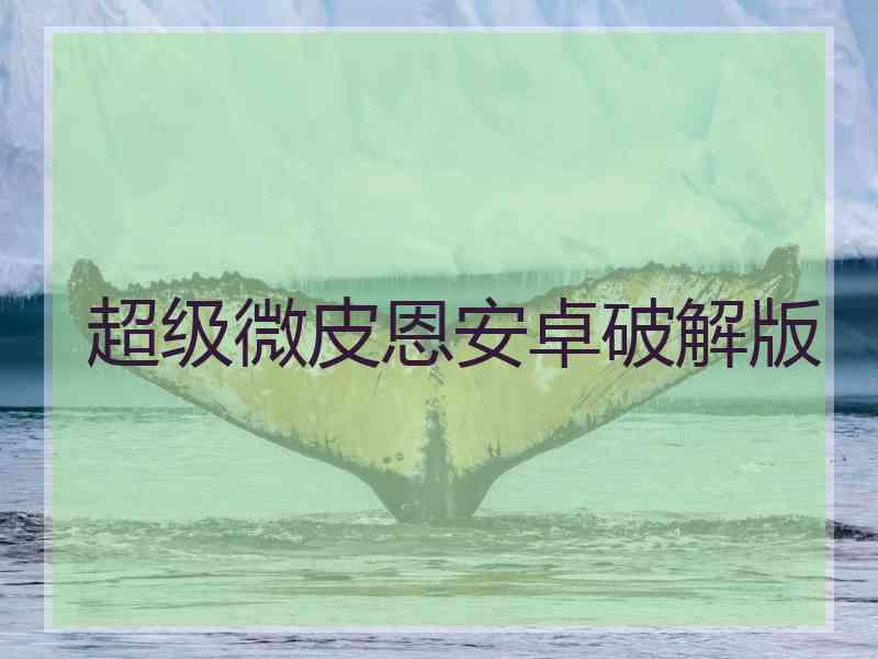超级微皮恩安卓破解版