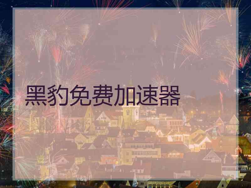 黑豹免费加速器