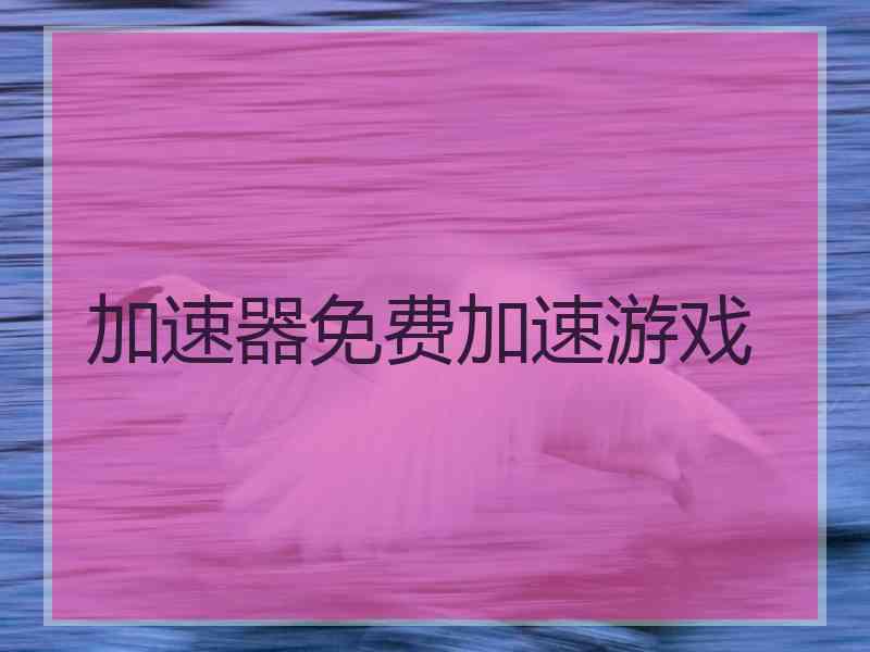 加速器免费加速游戏