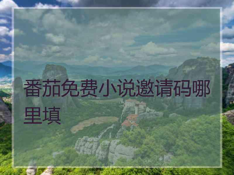 番茄免费小说邀请码哪里填