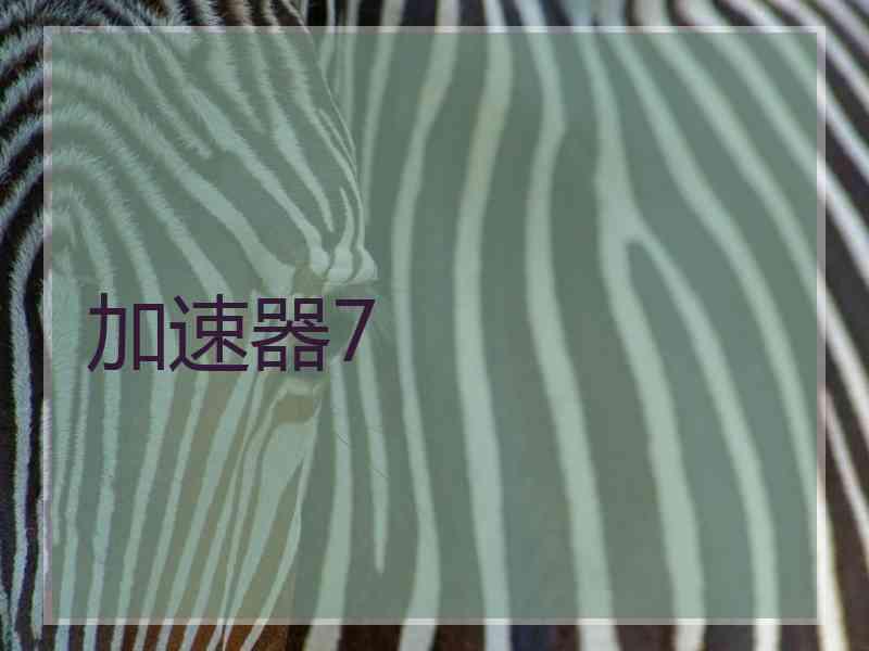 加速器7