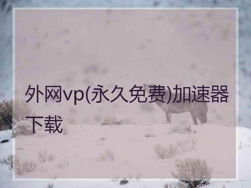 外网vp(永久免费)加速器下载