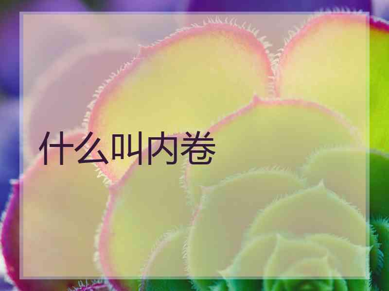 什么叫内卷