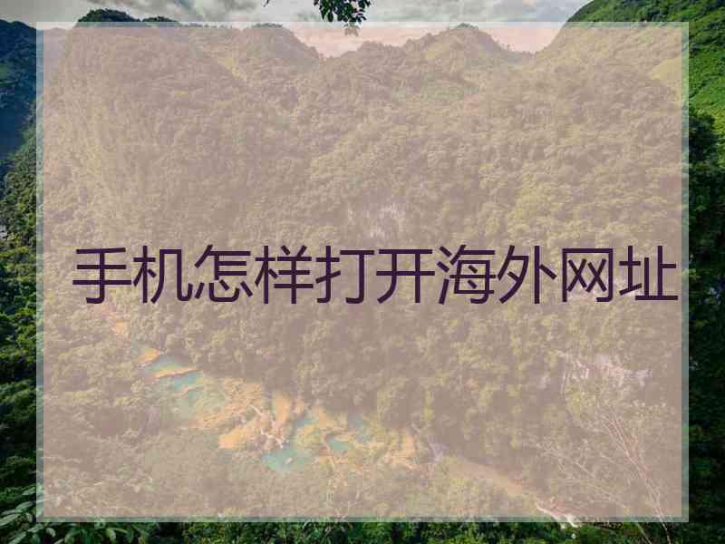 手机怎样打开海外网址