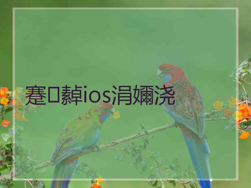 蹇繛ios涓嬭浇