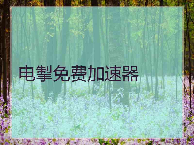 电掣免费加速器