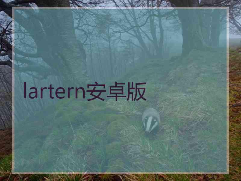 lartern安卓版