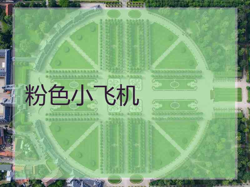粉色小飞机
