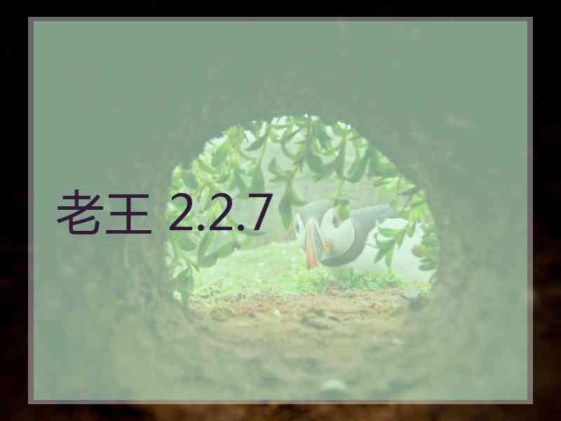 老王 2.2.7