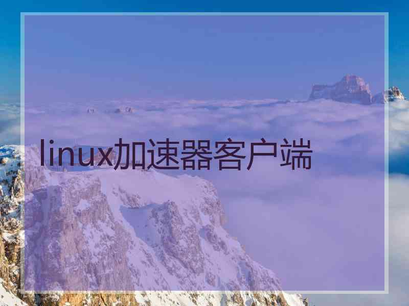 linux加速器客户端