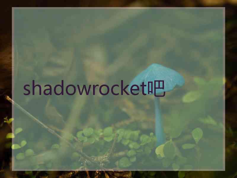 shadowrocket吧
