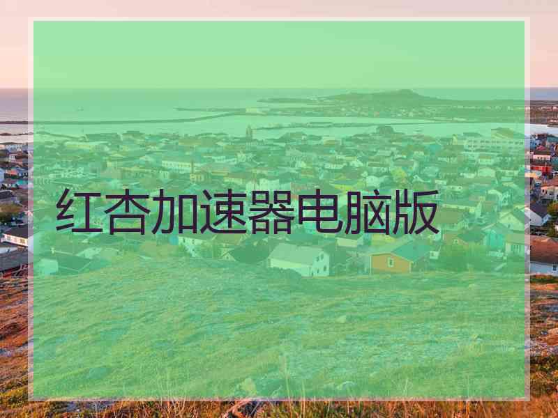 红杏加速器电脑版