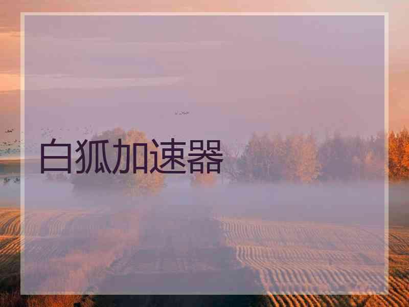 白狐加速器