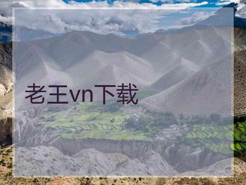 老王vn下载