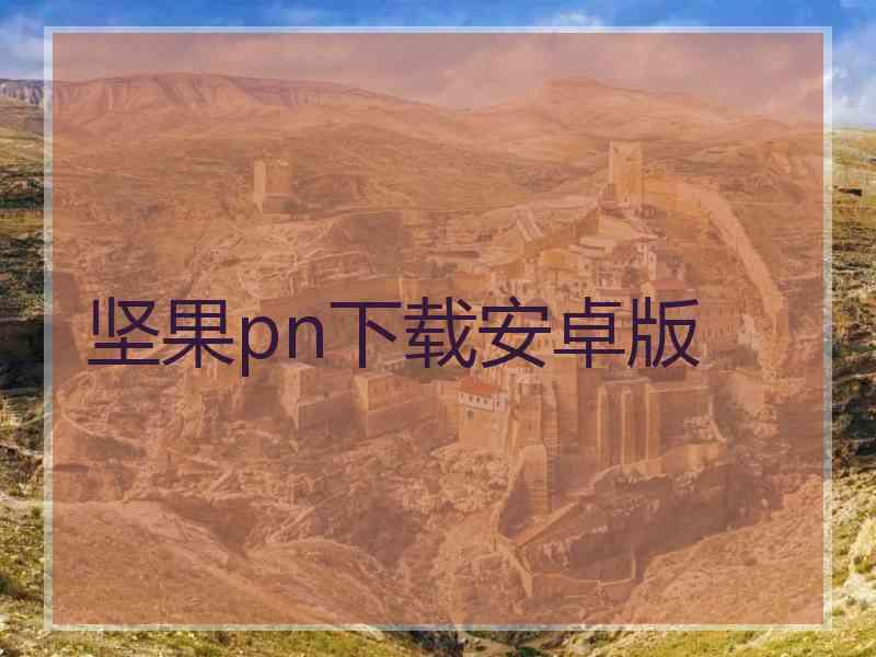 坚果pn下载安卓版