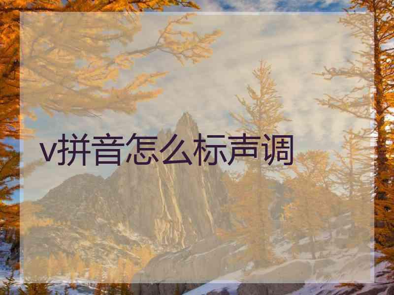 v拼音怎么标声调