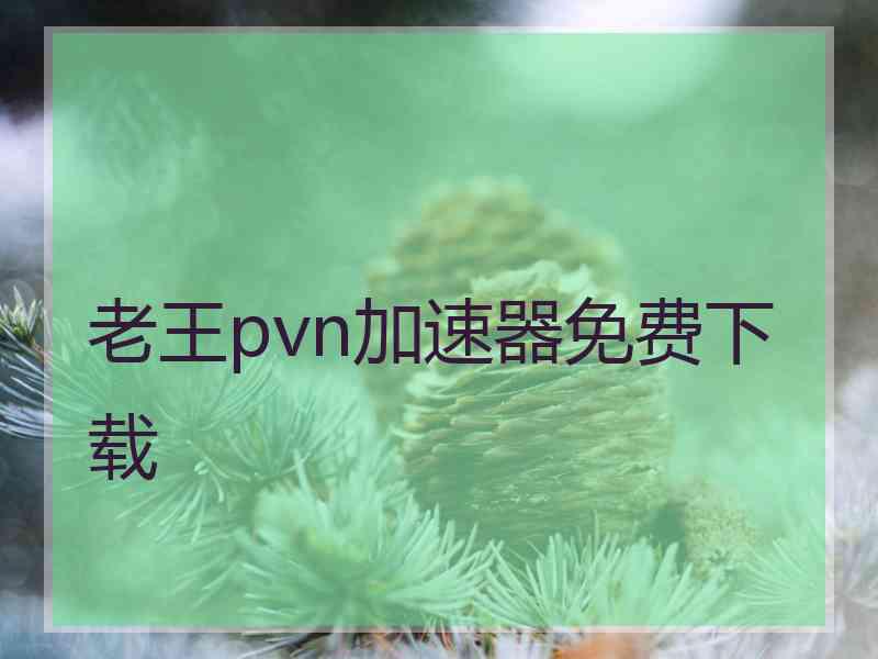 老王pvn加速器免费下载