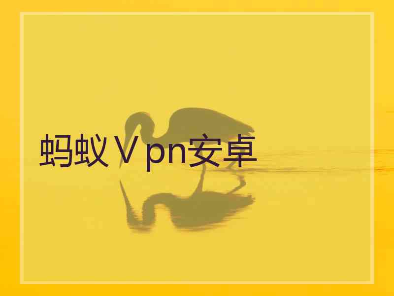 蚂蚁Ⅴpn安卓