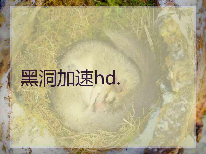 黑洞加速hd.