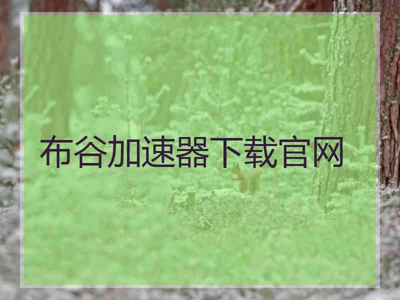 布谷加速器下载官网