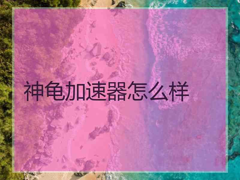 神龟加速器怎么样
